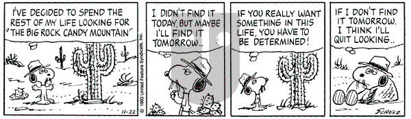 Peanuts on Monday November 22, 1993 Comic Strip
