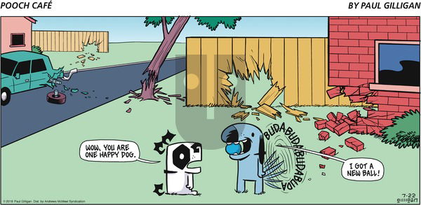 Pooch Cafe on Sunday July 22, 2018 Comic Strip