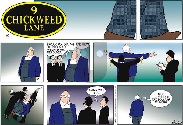 9 Chickweed Lane on Saturday November 27, 2010 Comic Strip