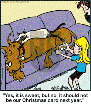 Marmaduke on Saturday December 19, 2020 Comic Strip