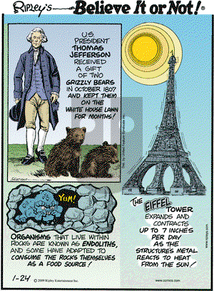 Ripley's Believe It or Not on Saturday January 24, 2009 Comic Strip