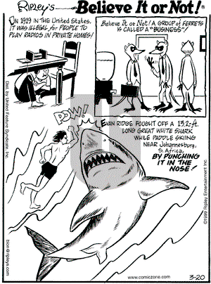 Ripley's Believe It or Not on Saturday March 20, 1999 Comic Strip