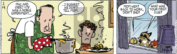 Over the Hedge on Wednesday January 14, 2015 Comic Strip