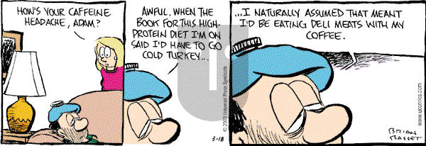 Adam@Home on Tuesday March 18, 2003 Comic Strip
