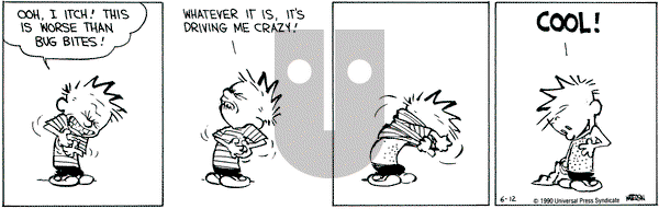Calvin and Hobbes on Tuesday June 12, 1990 Comic Strip
