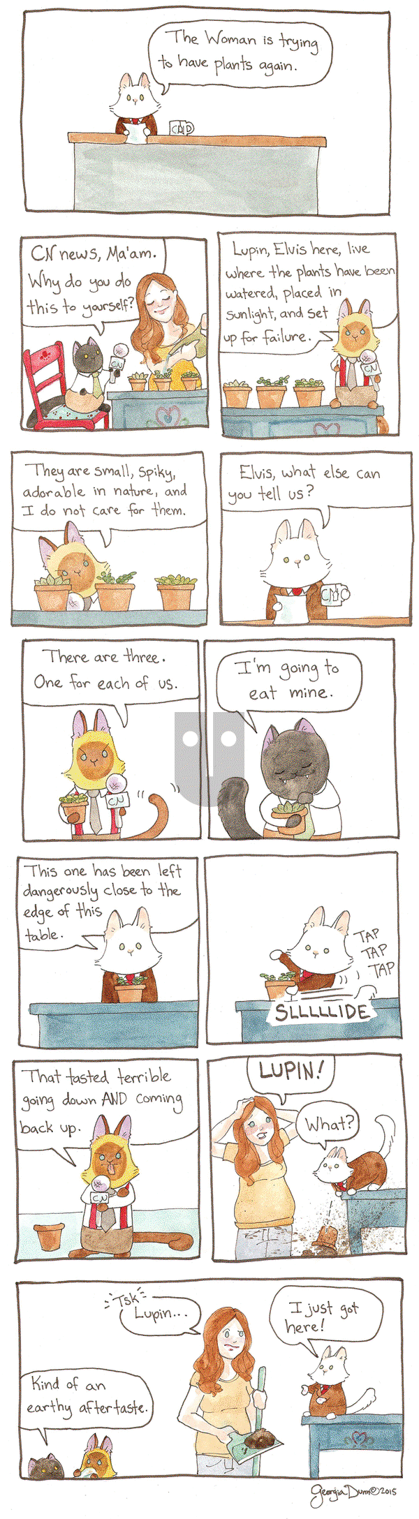 Breaking Cat News on Monday December 12, 2016 Comic Strip