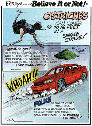 Ripley's Believe It or Not on Tuesday November 3, 2009 Comic Strip