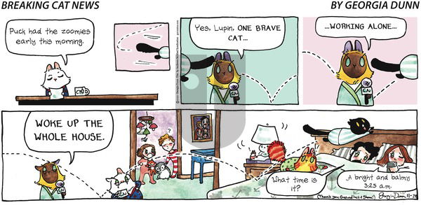Breaking Cat News on Sunday November 29, 2020 Comic Strip