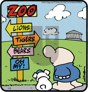 Ziggy on Thursday July 3, 2025 Comic Strip