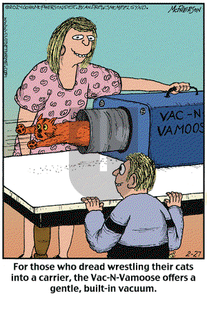 Close to Home on Tuesday February 27, 2024 Comic Strip