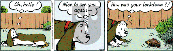 Fred Basset on Wednesday April 28, 2021 Comic Strip