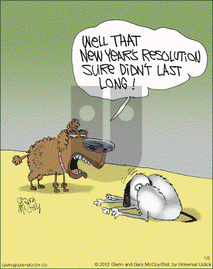 The Flying McCoys on Wednesday January 2, 2013 Comic Strip