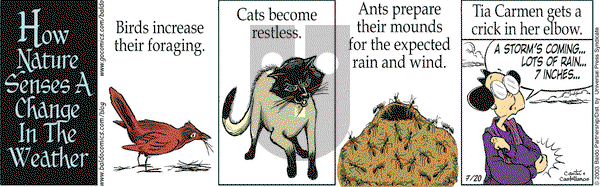 Baldo on Monday July 20, 2009 Comic Strip