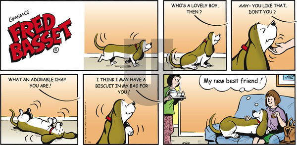 Fred Basset on Sunday July 5, 2015 Comic Strip