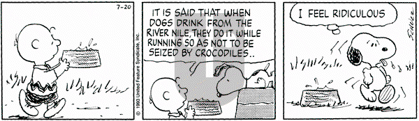 Peanuts on Tuesday July 20, 1993 Comic Strip