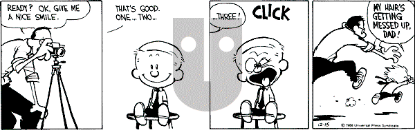Calvin and Hobbes - Thursday December 15, 1988 Comic Strip
