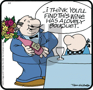 Ziggy - Friday September 2, 2016 Comic Strip