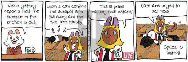 Breaking Cat News on Saturday July 1, 2017 Comic Strip