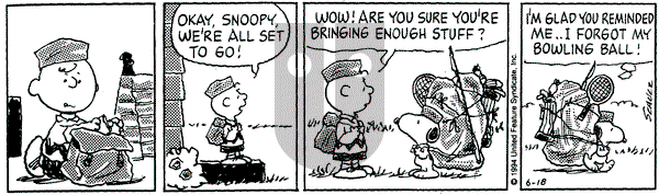 Peanuts on Saturday June 18, 1994 Comic Strip