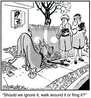Marmaduke on Wednesday February 20, 2002 Comic Strip