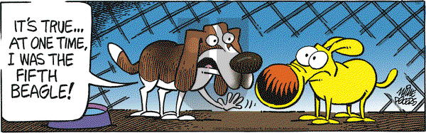 Mother Goose and Grimm on Friday July 11, 2025 Comic Strip