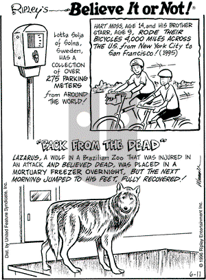 Ripley's Believe It or Not on Tuesday June 11, 1996 Comic Strip