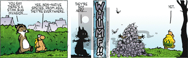 Over the Hedge on Monday November 26, 2018 Comic Strip