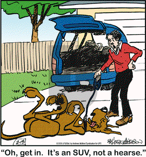 Marmaduke on Thursday February 13, 2020 Comic Strip