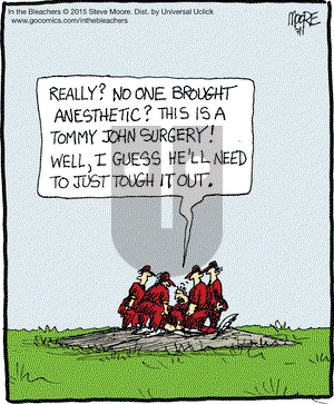 In the Bleachers on Wednesday July 1, 2015 Comic Strip