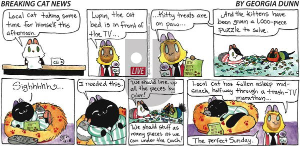 Breaking Cat News on Sunday April 6, 2025 Comic Strip