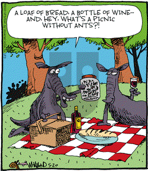 Reality Check on Monday May 20, 2013 Comic Strip