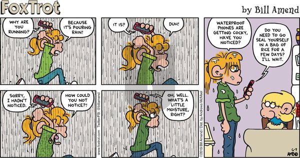 FoxTrot on Sunday June 9, 2019 Comic Strip