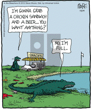 In the Bleachers on Saturday December 29, 2012 Comic Strip