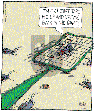 In the Bleachers - Thursday January 22, 2009 Comic Strip