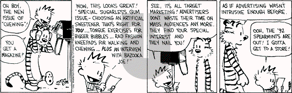 Calvin and Hobbes - Tuesday May 5, 1992 Comic Strip