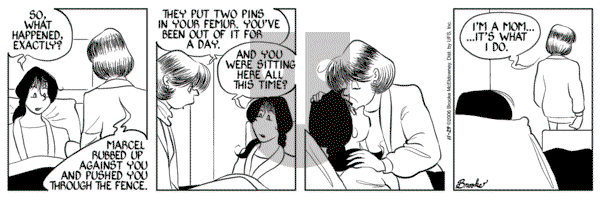 9 Chickweed Lane on Wednesday November 29, 2006 Comic Strip