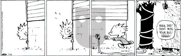Calvin and Hobbes - Thursday July 23, 1992 Comic Strip