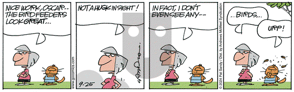 Next Door Neighbors - Wednesday September 25, 2024 Comic Strip
