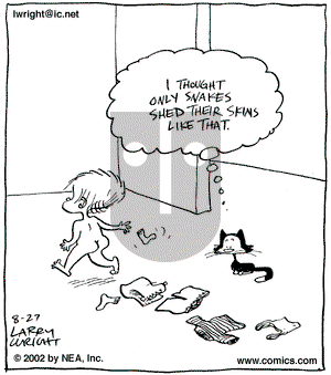 Kit 'N' Carlyle on Tuesday August 27, 2002 Comic Strip