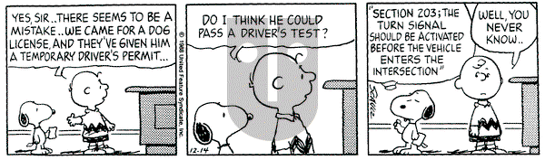 Peanuts on Wednesday December 14, 1988 Comic Strip