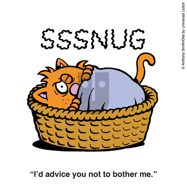 Learn to Speak Cat on Friday February 21, 2025 Comic Strip