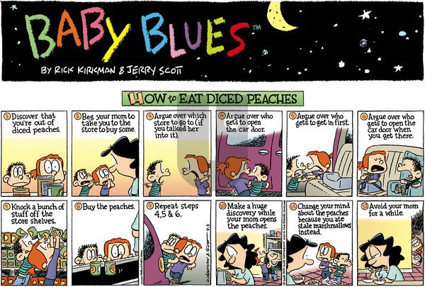 Baby Blues on Sunday August 3, 2008 Comic Strip