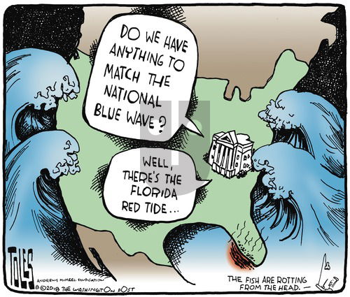 Tom Toles on Sunday August 19, 2018 Comic Strip