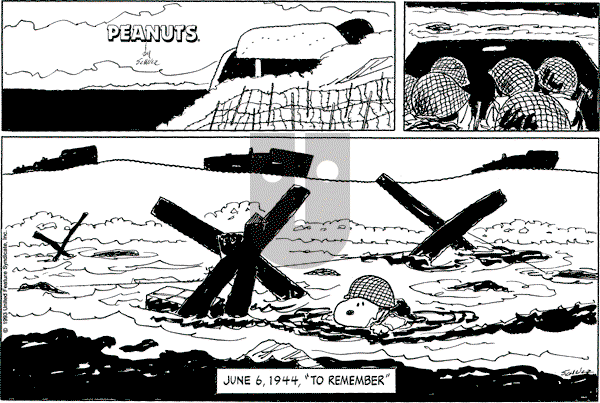 Peanuts - Sunday June 6, 1993 Comic Strip