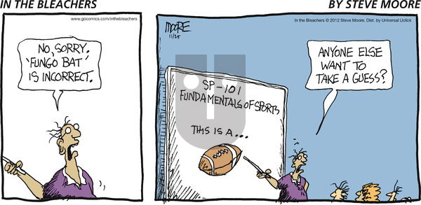 In the Bleachers on Sunday November 25, 2012 Comic Strip