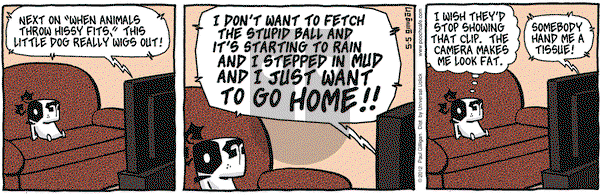 Pooch Cafe - Saturday May 5, 2012 Comic Strip