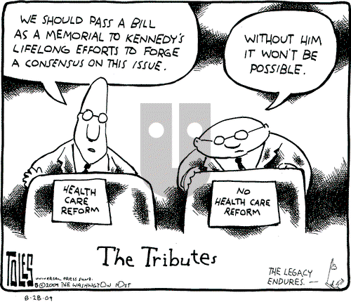 Tom Toles on Friday August 28, 2009 Comic Strip