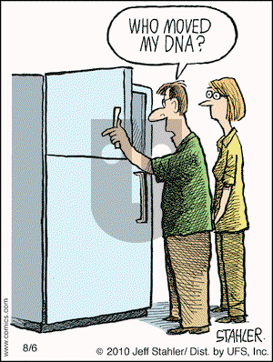 Moderately Confused on Friday August 6, 2010 Comic Strip