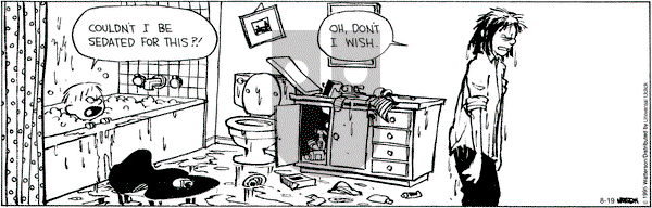 Calvin and Hobbes on Wednesday August 19, 2015 Comic Strip