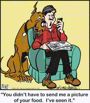 Marmaduke on Tuesday November 15, 2016 Comic Strip